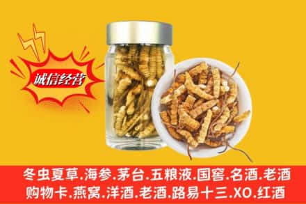 百色市隆林回收散虫草